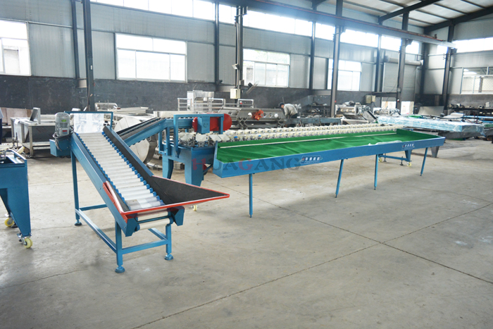 New style sorting machine 14.jpg